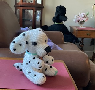 72-dalmation.jpg